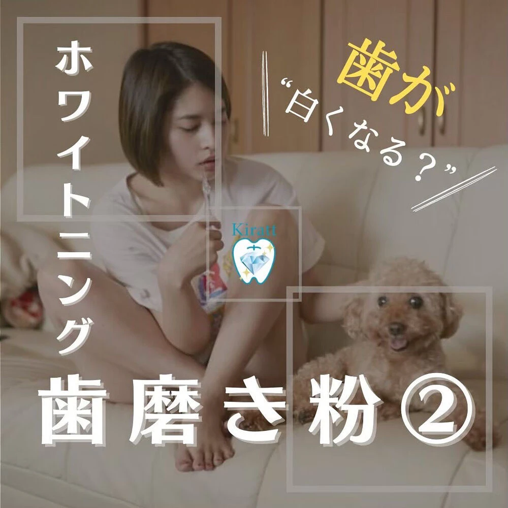ブログ画像